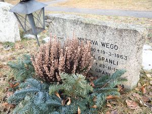 Minerva Wego grvm.JPG