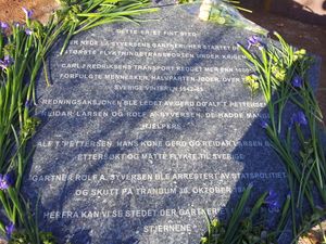 Minnepark CFT Hovedstein.jpg