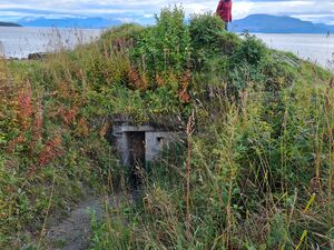 Foto av Mitraljøsebunkeren ved "Stien Langs sjøen" (Harstad), sett utenfra.