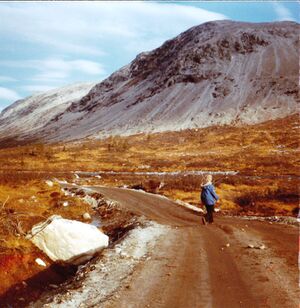Mjølfjell 1979.jpg