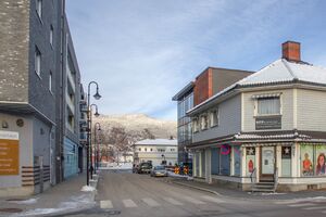 Mjøndalen Parkveien oversikt 210109.jpg