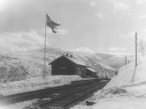 Mjolfjell stasjon Wilse 1909.jpg