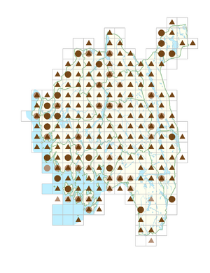 Moehringia trinervia.png