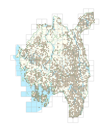 Molinia caerulea 1.png