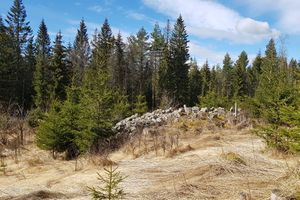 Monsrud under Spetaler rydningsrøys 2020.jpg