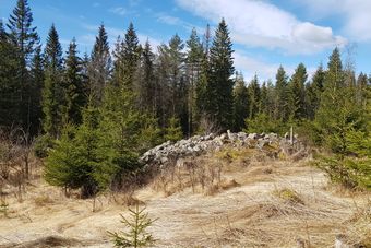 Monsrud under Spetaler rydningsrøys 2020.jpg