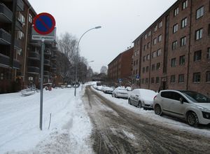 Mor Go'hjertas vei Oslo 2015.jpg