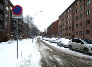 Mor Go'hjertas vei Oslo 2015.jpg