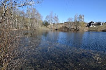 Den østre delen av Morbergdammene ligge skjermet fra hovedveien. I bakgrunnen sees den hvite hovedbygningen på Morberg gård. (foto: Victor Iversen 2020)