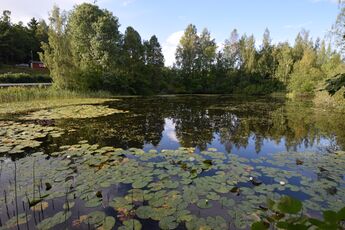 Den vestre delen av Morbergdammene er synlig fra hovedveien mellom Morberg og Nærsnes. (foto Victor Iversen 2021) .