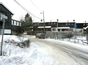 Mosekollen Oslo 2014.jpg