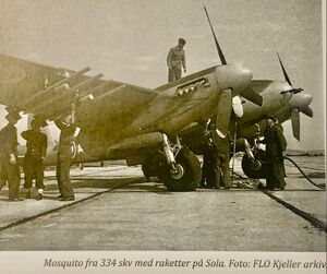 Mosquito fra 334.jpeg