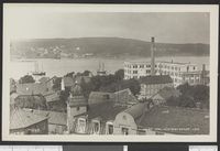 106. Moss. - no-nb digifoto 20150730 00015 bldsa PK30636.jpg