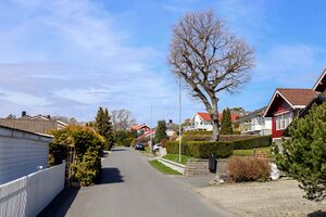 Moss Åskanten 230508.jpg