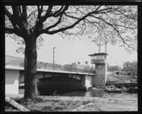 43. Moss - no-nb digifoto 20150603 00042 NB MIT FNR 20417.jpg