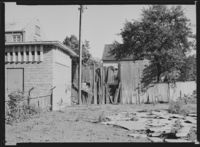 129. Moss - no-nb digifoto 20151117 00036 NB MIT FNR 16144.jpg