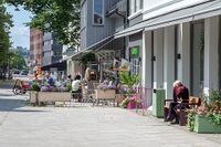 Parti fra Dronningens gate i Moss. Foto: Leif-Harald Ruud (2019).