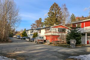 Moss Elgveien 250303.jpg