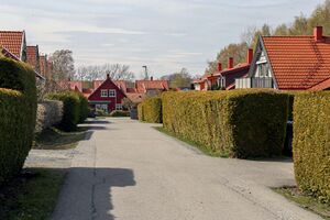 Moss Gullfunnet 230508.jpg