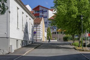 Moss Holteløkka 250526.jpg