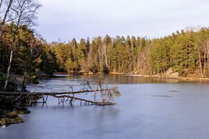 Moss Molbekktjernet 250317.jpg