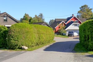 Moss Perstubben 230904.jpg