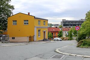 Moss Svaebakken 250623.jpg