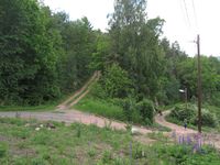 37. Motiv fra Håøya Vestfold 2011.jpg