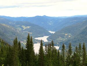 Motiv fra Nore 2019.JPG