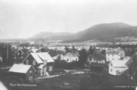 443. Motiver fra Hokksund (oeb-197970).jpg