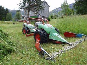 Motorslåmaskinar Rapid Rex.JPG