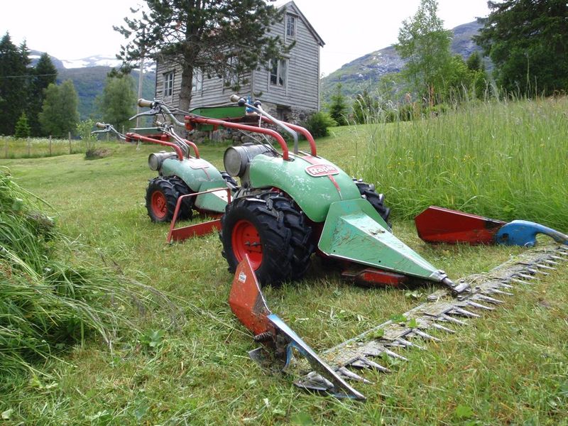 Fil:Motorslåmaskinar Rapid Rex.JPG