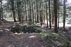 Murane plassen Svee.jpg