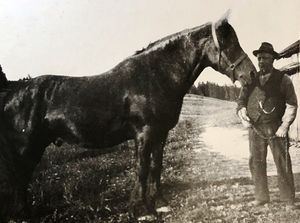 Murmester Sverre Andersen.JPG