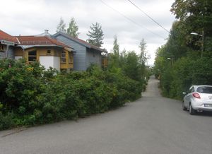 Myntfunnveien Oslo 2014.jpg