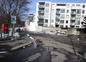 Myra vei i Oslo 2015.jpg