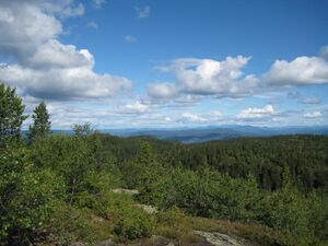 Myrehogget (be-2008-07-17-IMG 2338).JPG