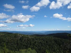 Myrehogget (be-2008-07-17-IMG 2339).JPG