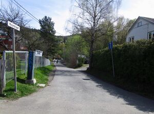 Myrerdraget Oslo 2015.jpg