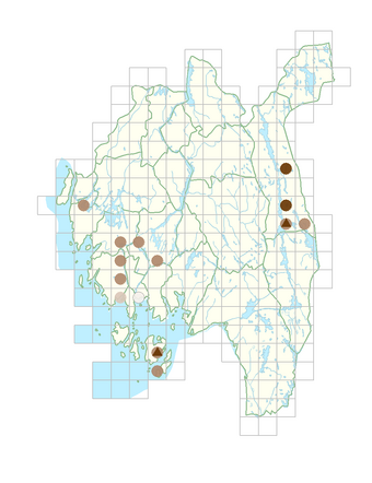 Myriophyllum verticillatum.png