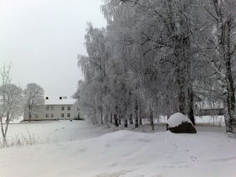 Nøkleberg bjørker bygning.jpg