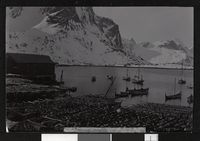 20. N. 110. Parti 2., fra Reine - Lofoten, 1901 - no-nb digifoto 20130214 00013 bldsa FA1192.jpg