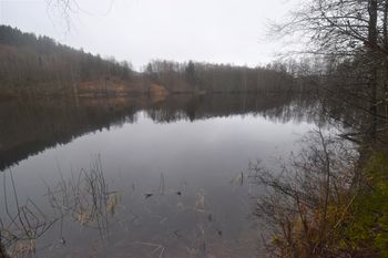 Den øverste (sydligste) av Nydammene, sett fra stien som går fra Bårsrudtjernet ned mot Nærsnesbukta. Bak bakken på den andre siden av vannet ligger Schwartzdammen. (Foto: Victor Iversen 2020)