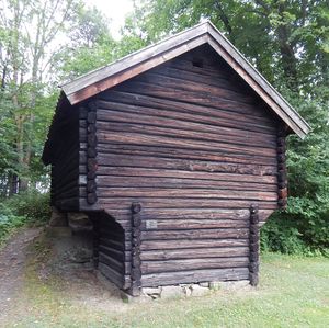 NF107 Kjone fra Karlsrud.JPG