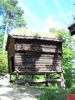 Foto: Chris Nyborg (2008).