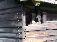 264. NF 77 Sengebu03.JPG