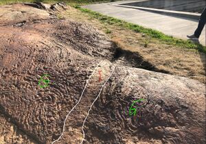 NGU-anm Bråte A.jpg