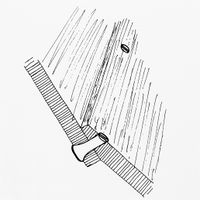 Trenagler med kiler (åretter) på innsiden.