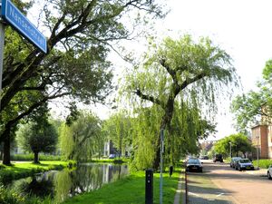 Nansenstraat Gouda 2024.JPG