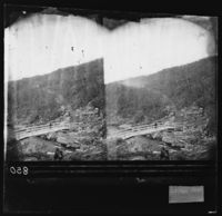 101. Nasa Bro - NB bldsa OTO0850 A.jpg